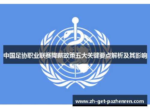 中国足协职业联赛降薪政策五大关键要点解析及其影响 中国足协职业联赛降薪政策五大关键要点解析及其影响