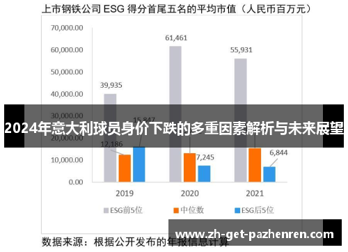 2024年意大利球员身价下跌的多重因素解析与未来展望