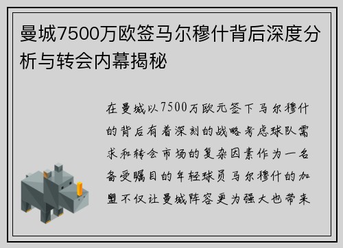 曼城7500万欧签马尔穆什背后深度分析与转会内幕揭秘