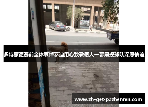 多特蒙德赛前全体哀悼泰迪用心致敬感人一幕展现球队深厚情谊 多特蒙德赛前全体哀悼泰迪用心致敬感人一幕展现球队深厚情谊