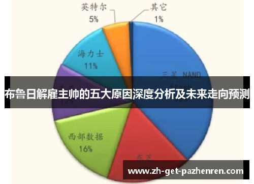 布鲁日解雇主帅的五大原因深度分析及未来走向预测 布鲁日解雇主帅的五大原因深度分析及未来走向预测