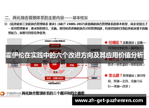霍伊伦在实践中的六个改进方向及其应用价值分析